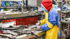 <b>关实践——《从“分离采购”到“聪慧食安”—</b>